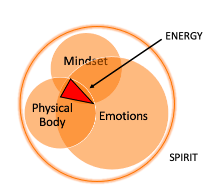 When our emotions are not in balance with the rest of our Circles of Health, we experience stress.
